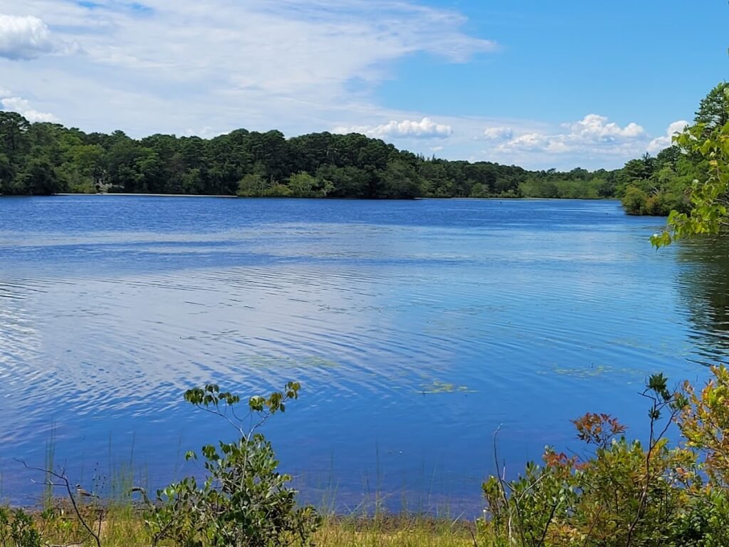 Pine Lake Park