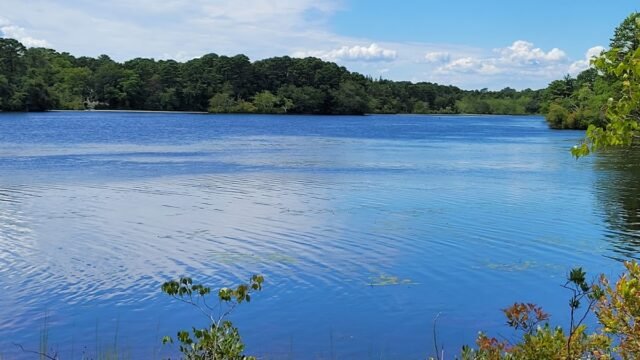 Pine Lake Park