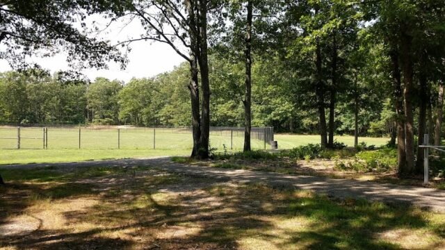 Skyview Park