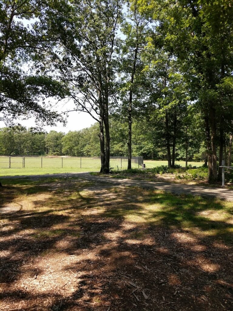 Skyview Park