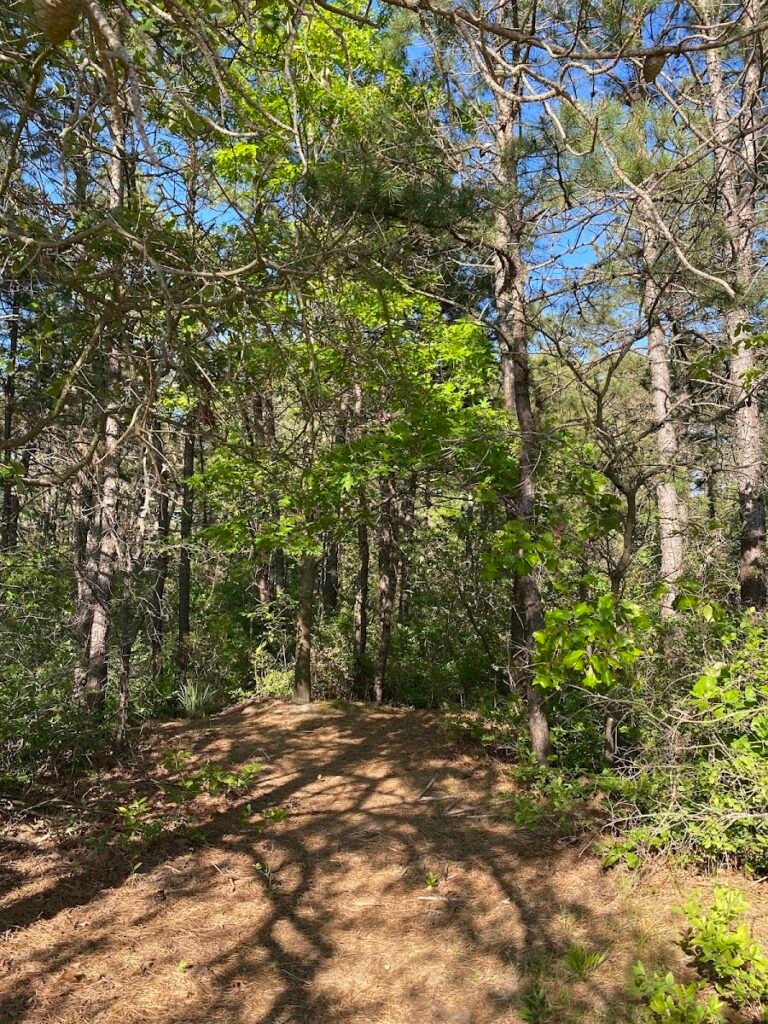 Whispering Pines Park